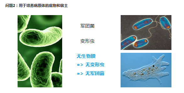 游泳池過濾濾料,游泳池水處理濾料,水處理濾料